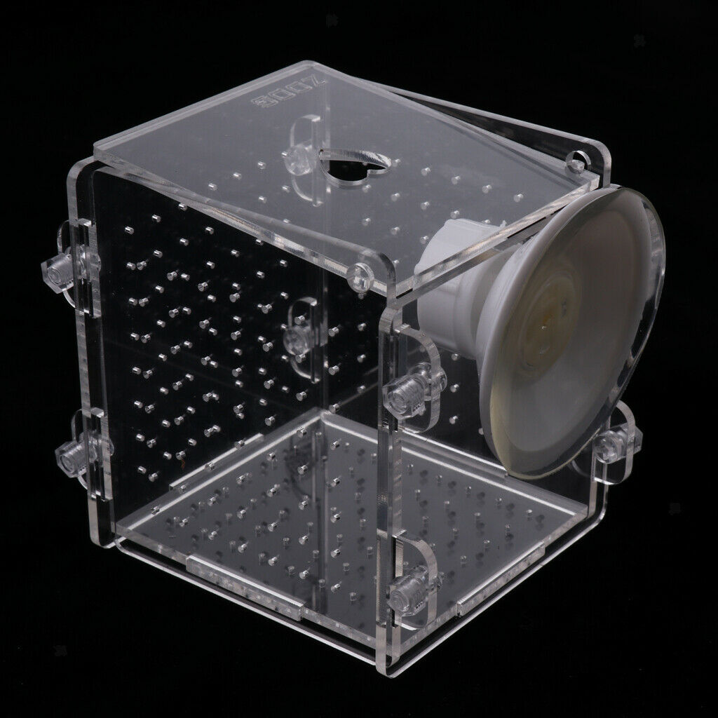2 pcs Acrylic Aquarium Young Fish Breeding Hatchery Incubator Isolation Box