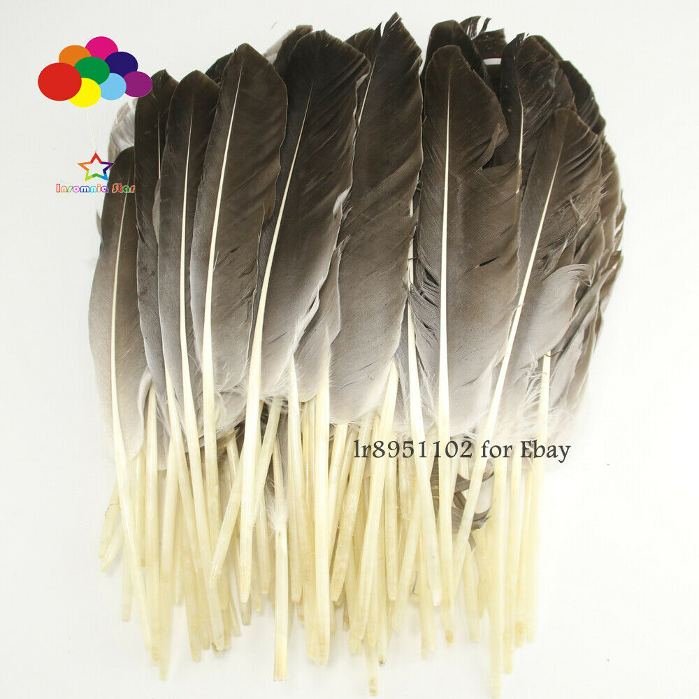 New 100 pcs precious wild turkey Duck wings feathers 25-30CM/10-12 inches