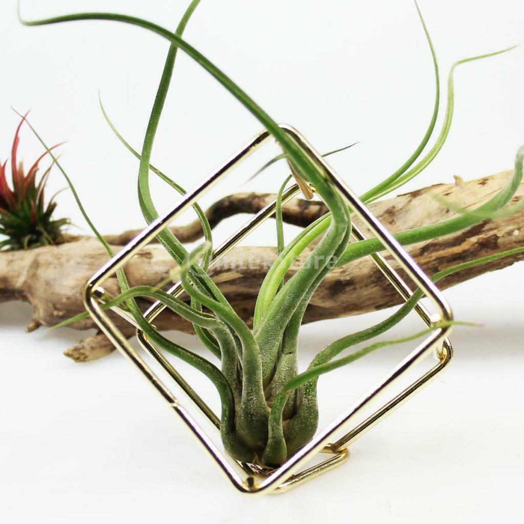 Creative DIY Wedding Centrepiece Garden Flower Holder Decoration Brass