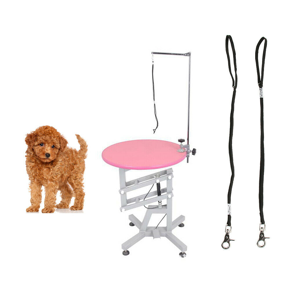 2 Piece Dog Prep Strap, Adjustable Nylon Table Harnesses, Table Rope