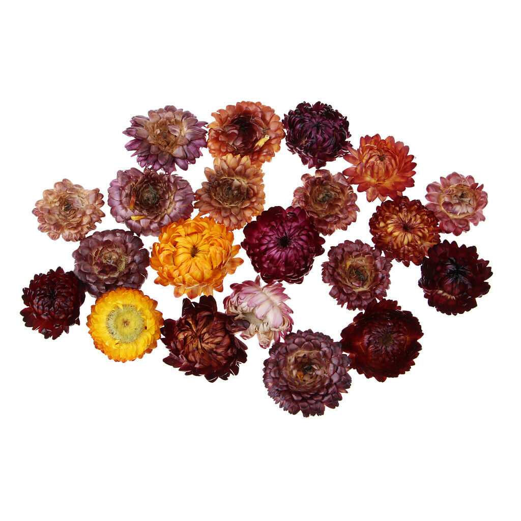 20g Pressed Flowers Real Natural Dried Flower Petals for DIY Crafts