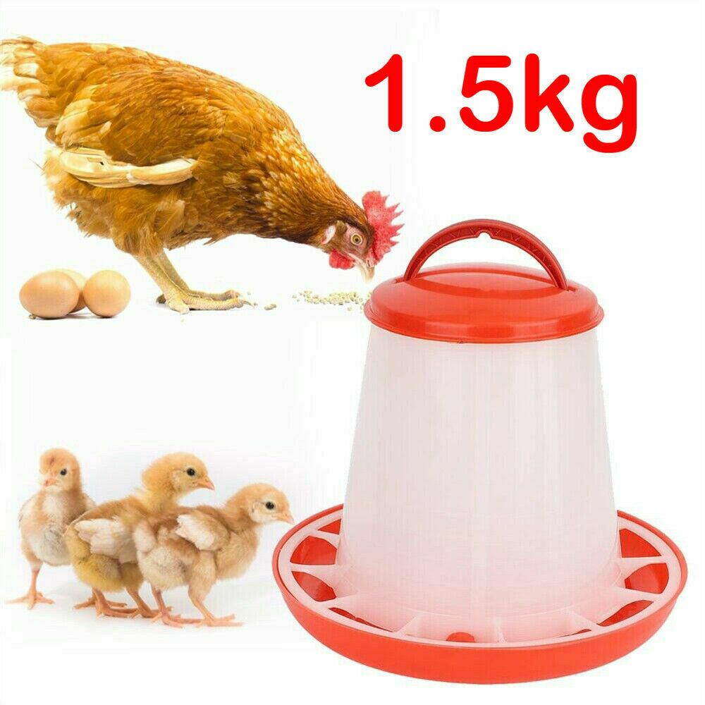 1.5L Automatic Bird Chook Poultry Feeder Drinker Chicken Poultry Waterer Kettle.