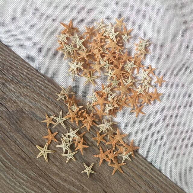Tiny Size Dried Real Starfish Flat Sea Star Ornament Crafts Decorations 25 pcs