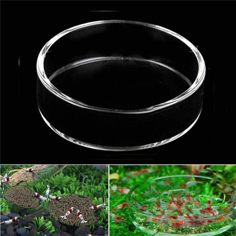 Clear Glass Shrimp Feeding Food Dish Feeder Tray Round Container Aquari.l8
