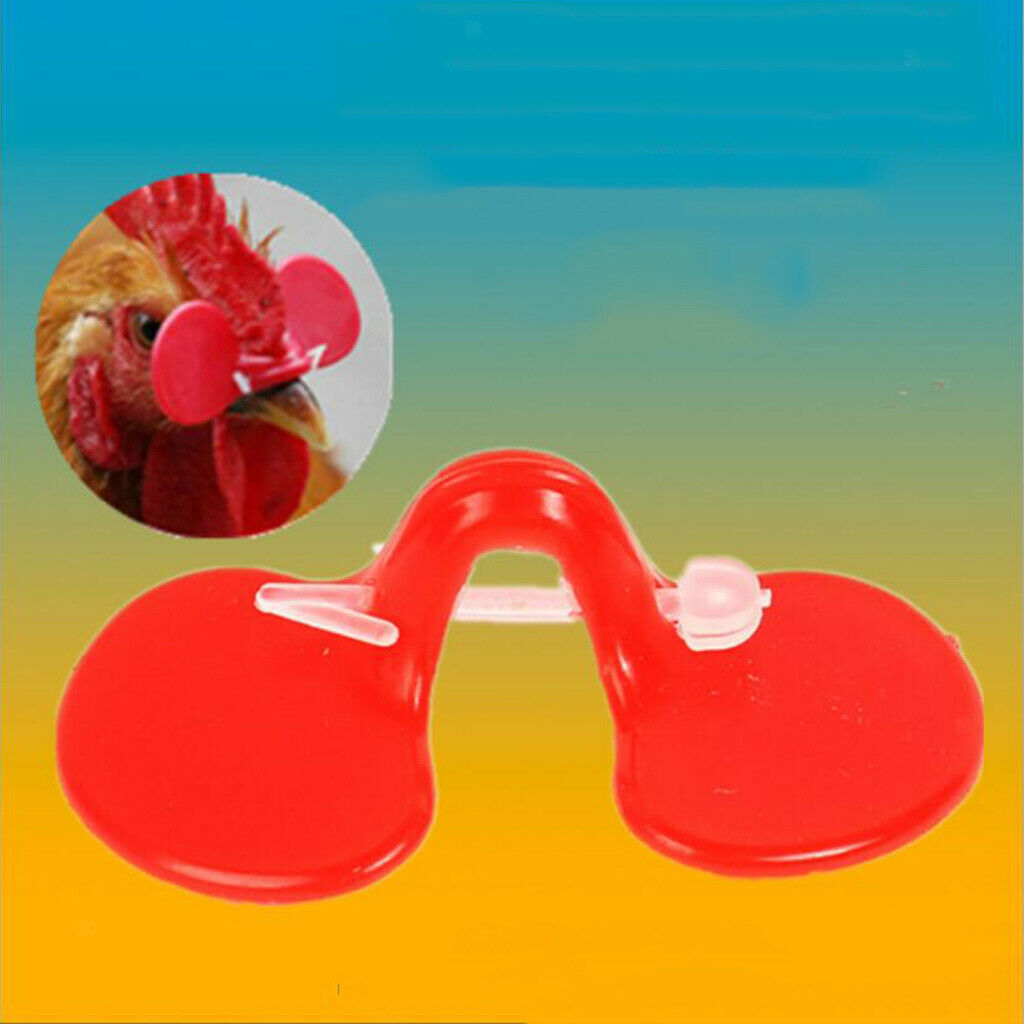 1000pcs Chicken Pheasant Rooster Glasses Wearing Anti Shame Glasses