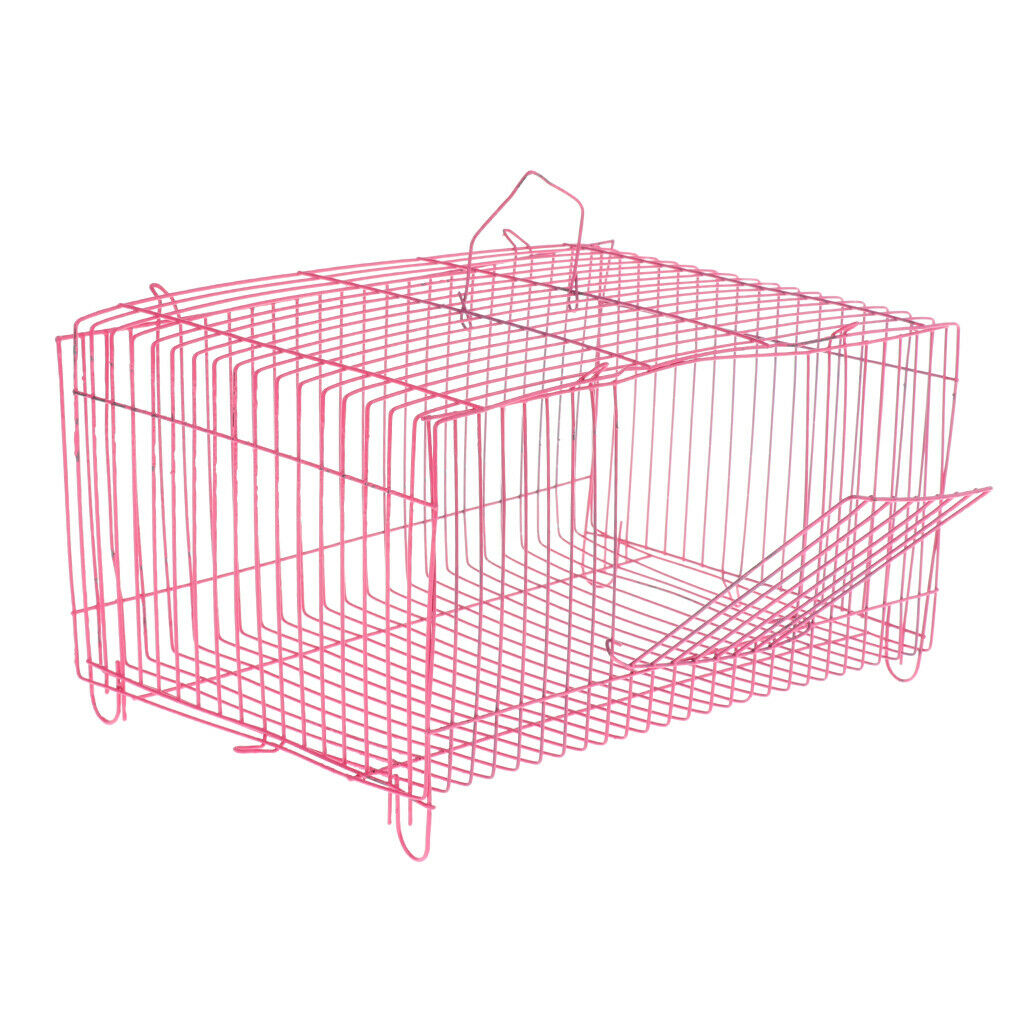 New House Small Pet Hamster Exercise