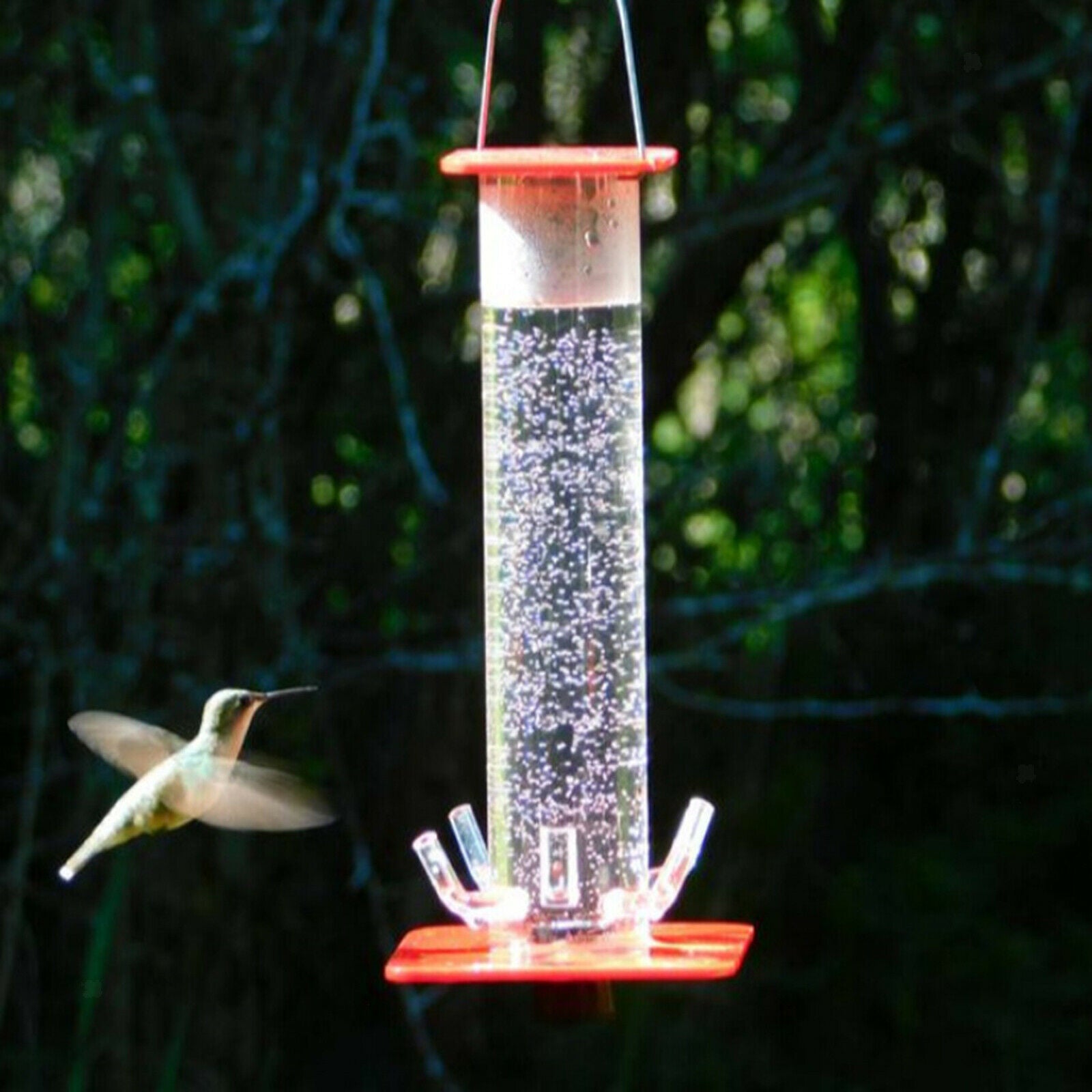 Hummingbird Feeder with Hanging Hook 5 Feeding Ports Patio Outdoors Balcony