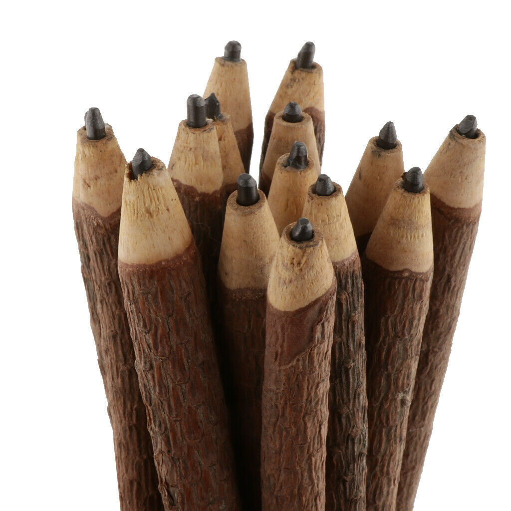 Twigs & Branches Pencils- 15 Wood Log Pencils Kids Students Gift Party Favor