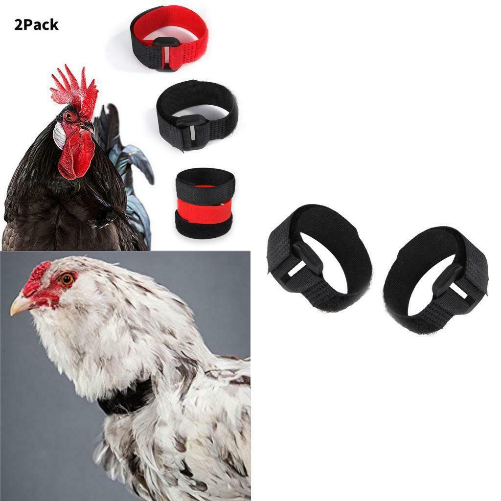 2 Pieces Rooster Collar Prevent Rooster from Screaming for Rooster Black