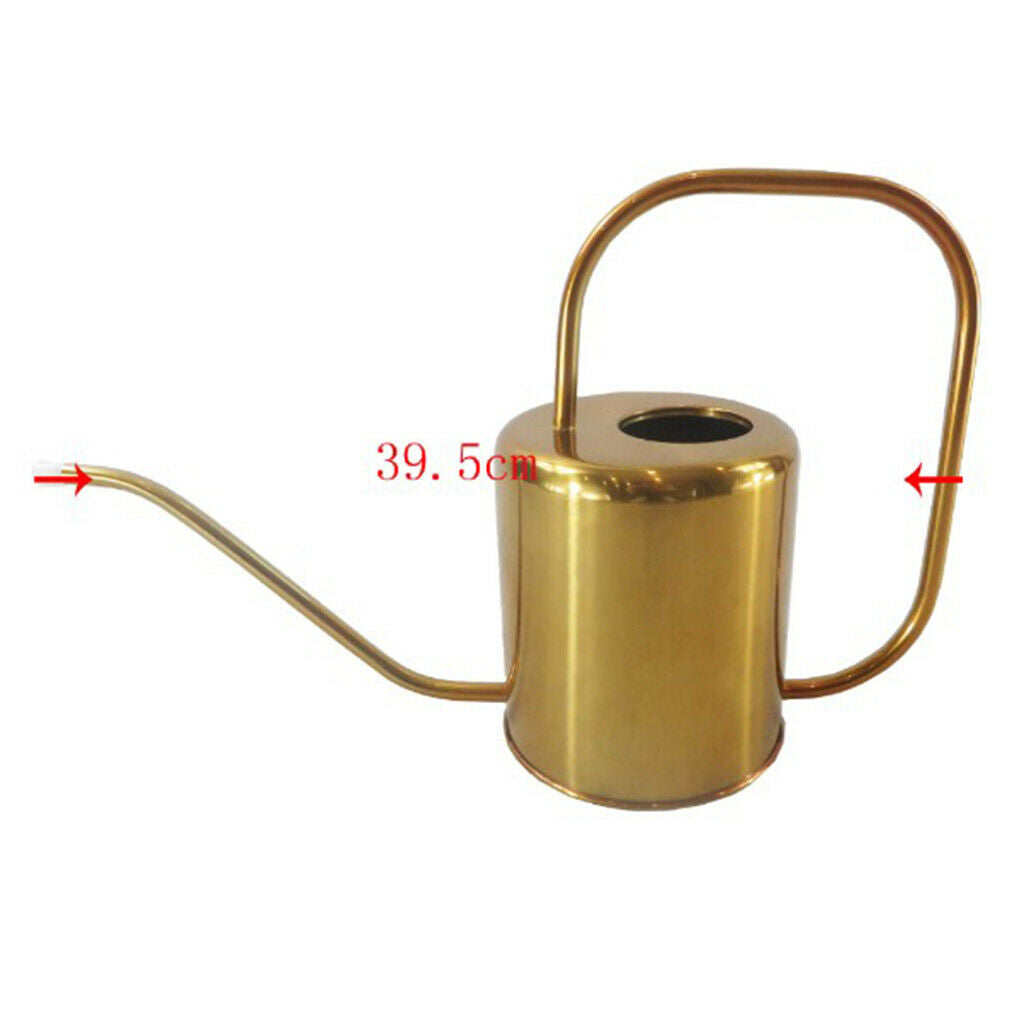 Rustproof Metal Can Sprayer Irrigation Tool Indoor Flowers Bonsai Herbs