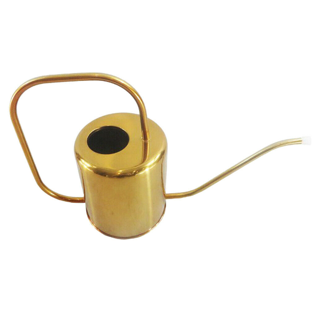 Rustproof Metal Can Sprayer Irrigation Tool Indoor Flowers Bonsai Herbs