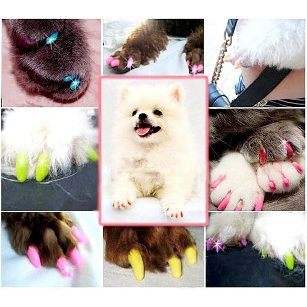 100Pcs Soft Nail Caps for Lovely Pet Dog and Cat Paw Control Red XL