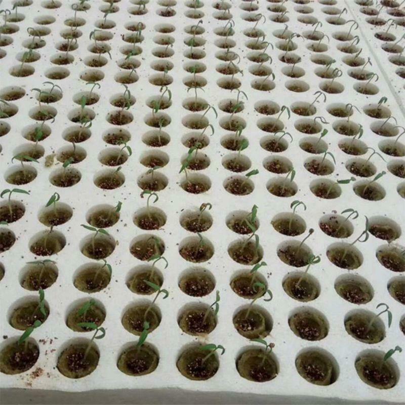 20x Cylinder Rockwool Plant Hydroponic Grow Media Soilless Cultivation Compress