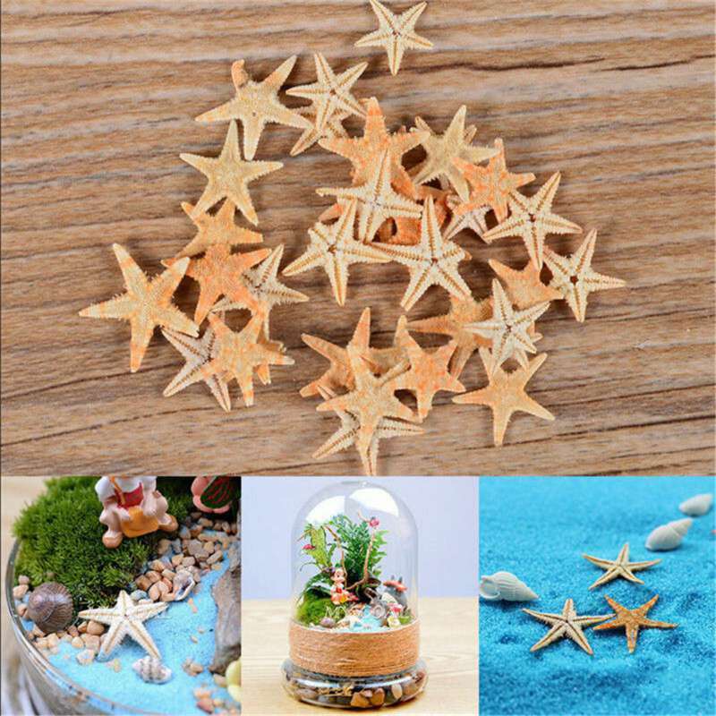 100Pcs Cute Small Mini Starfish Lot Sea Star Shell Beach Decor Craft DIY Making