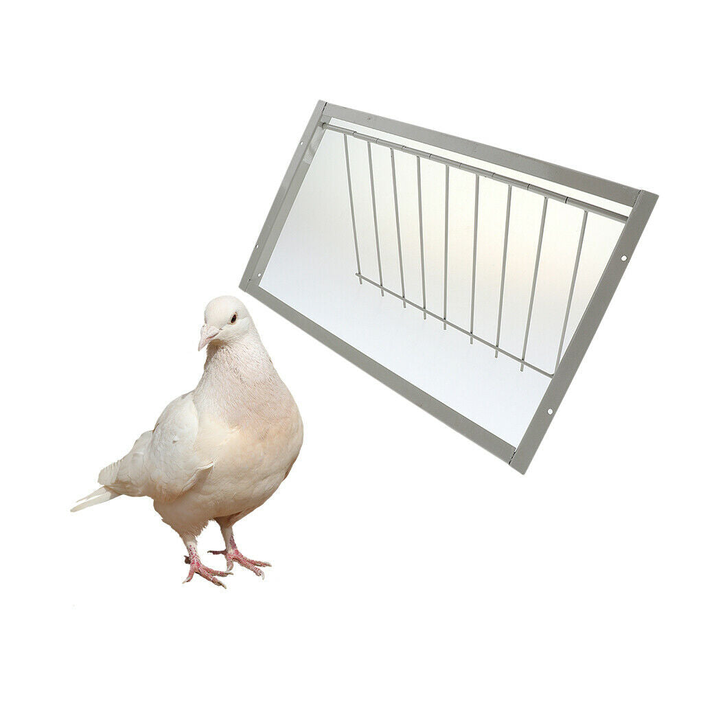 Durable Iron Pigeon Bird Entrance Trap Loft Window Door for Birds Pigeons M