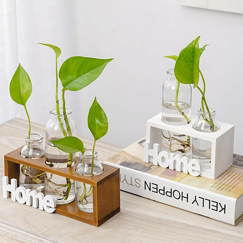 Crystal Glass Test Tube Vase in Wooden Stand Terrarium Glass Planter 3-Wood
