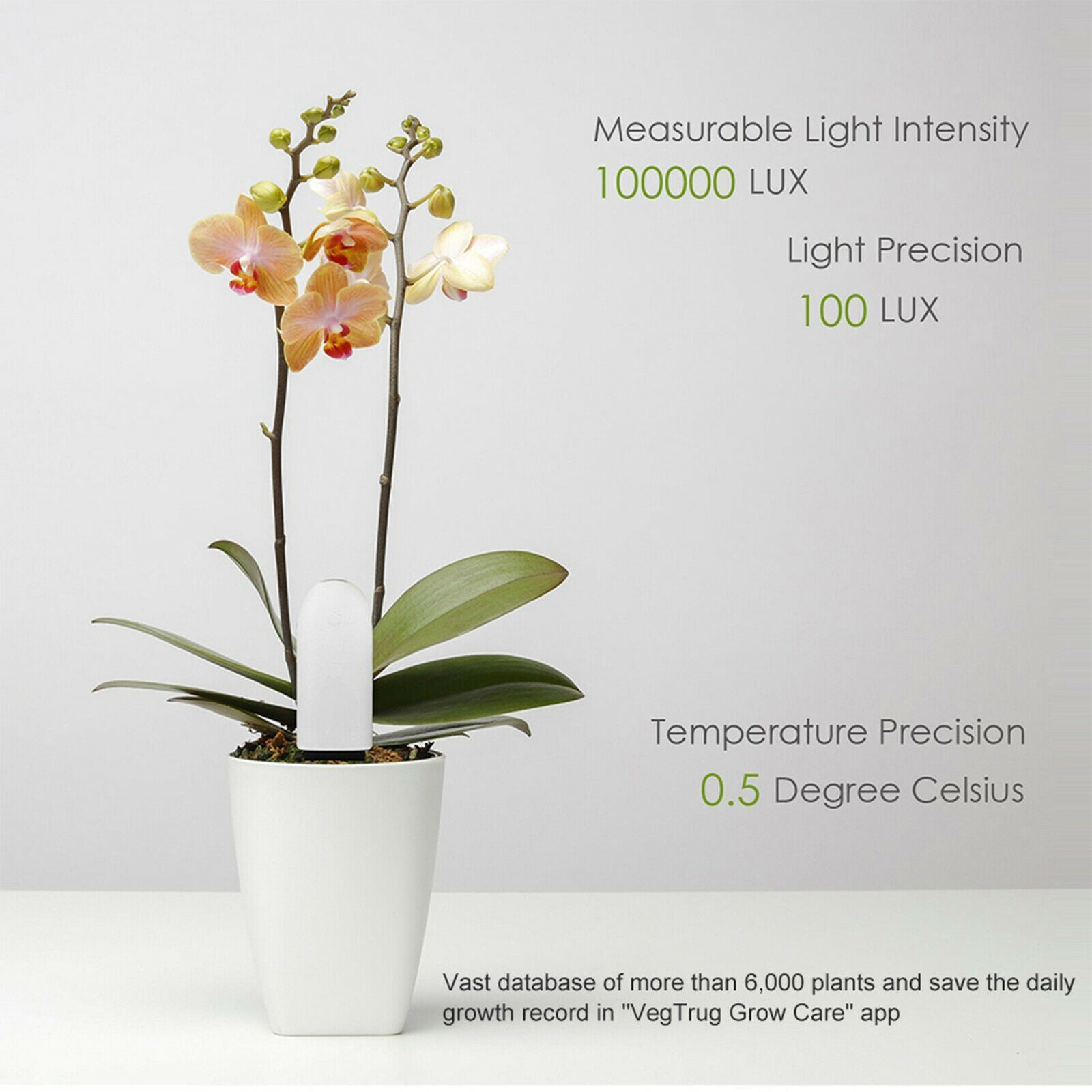 Portable Plant Monitor Garden Care Fertility Smart Tester Flower Detector
