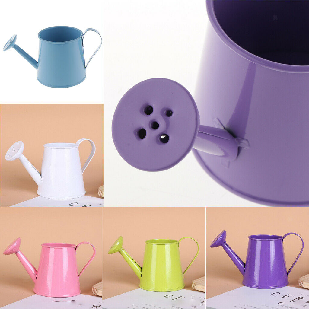 Nordic Style Garden Plant Watering Can Iron Watering Pot Rustproof DIY
