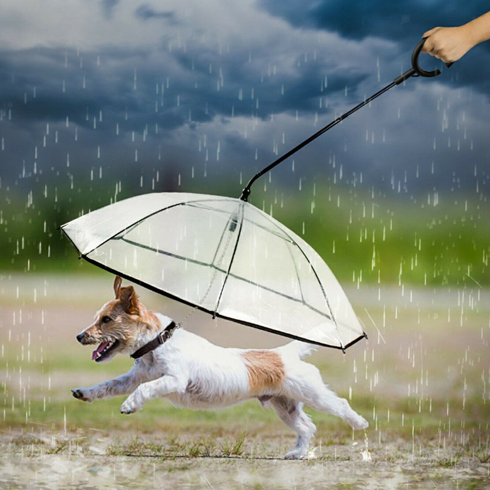 Dog Cat Umbrella with Leash Walking Clear Cover Keeps Pet Dry Raincoats