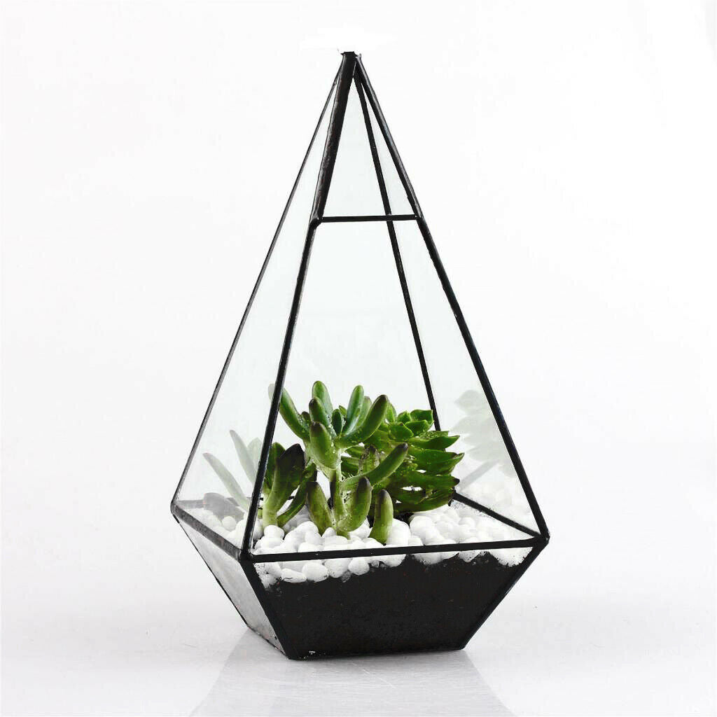 Pyramid Glass Geometric Terrarium Box Tabletop Succulent Planter Black