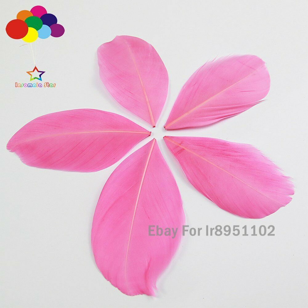 100pcs /lot Pale Pink Macaron Series Turkey Swan Feathers loose round Plumes