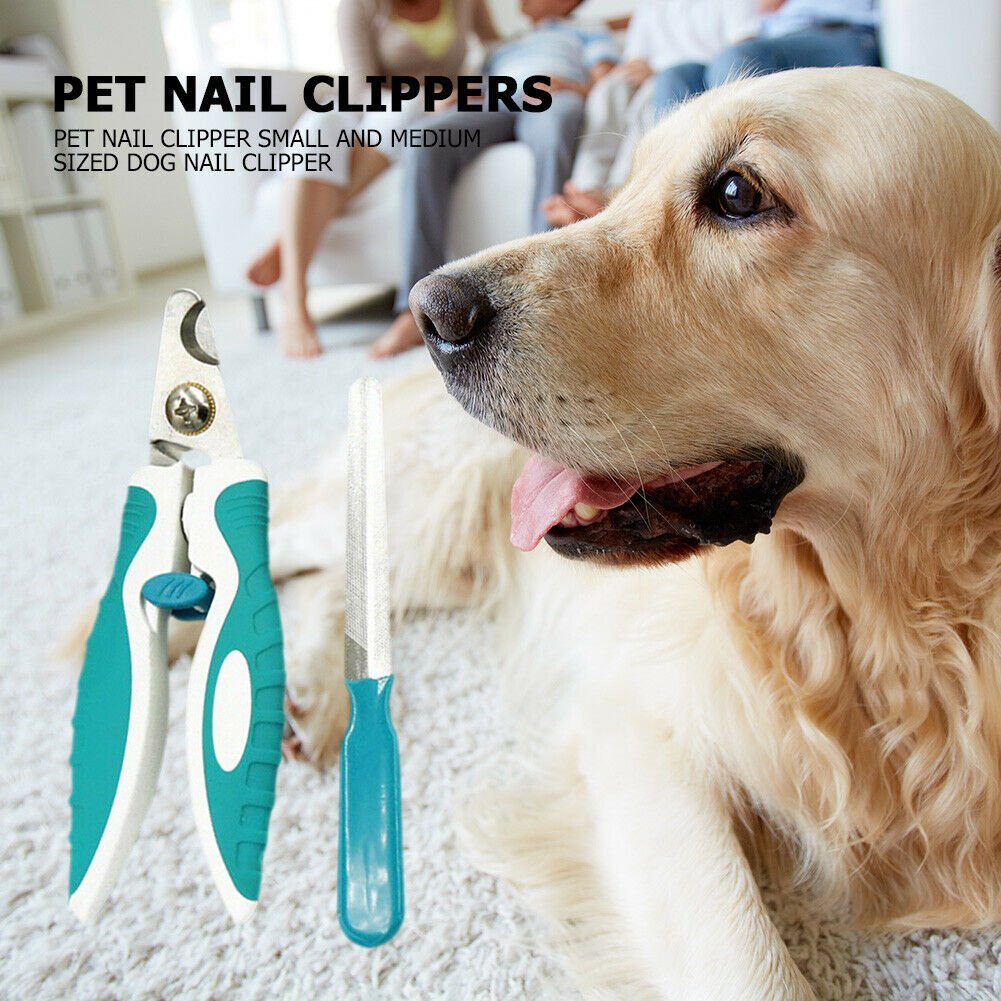 Pet Nail Clippers Nail File Set Stainless Steel Dogs Cat Dead Skin Scissors @