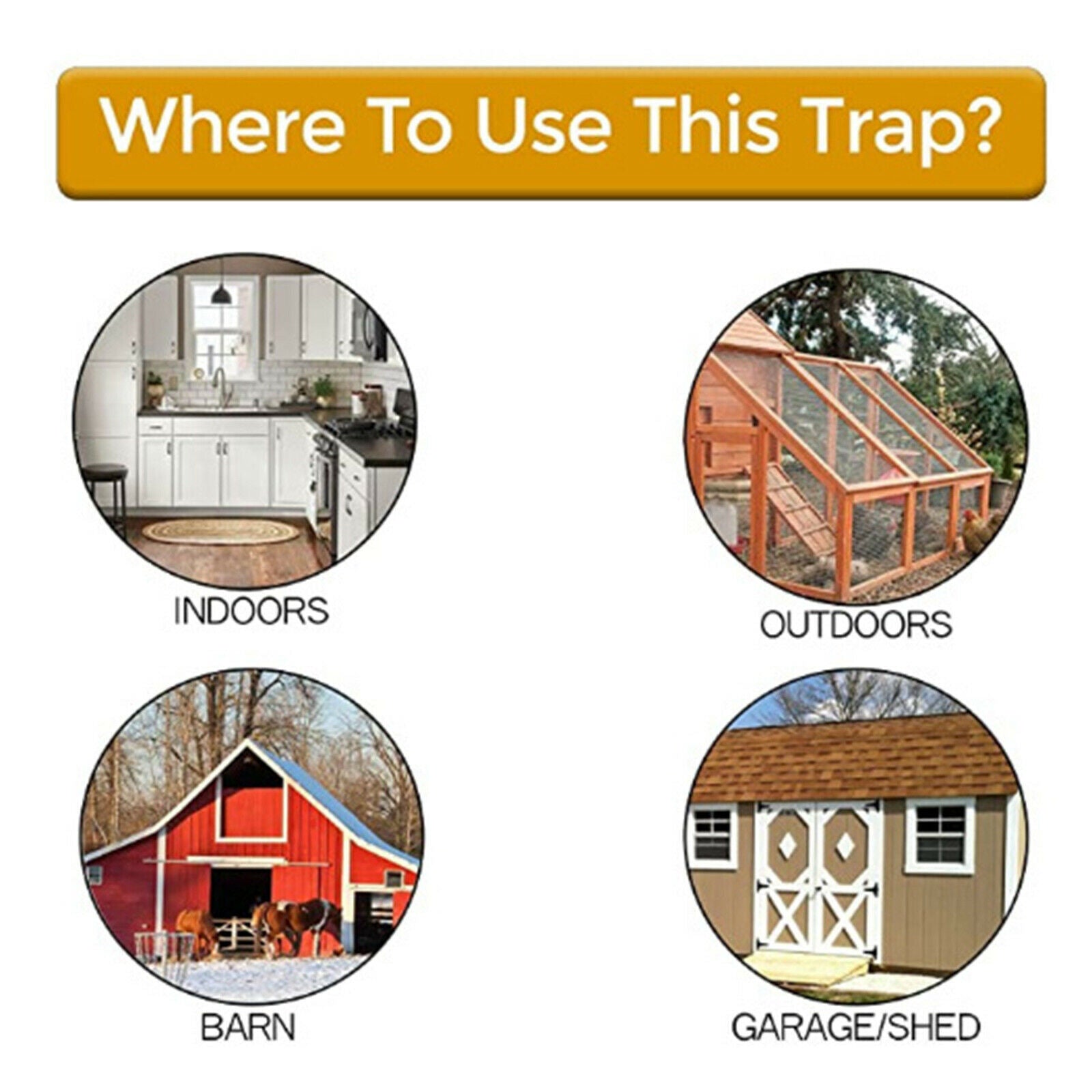Mouse Rat Trap with Ramp Humane and Safe Quick Effective for Mice Rats