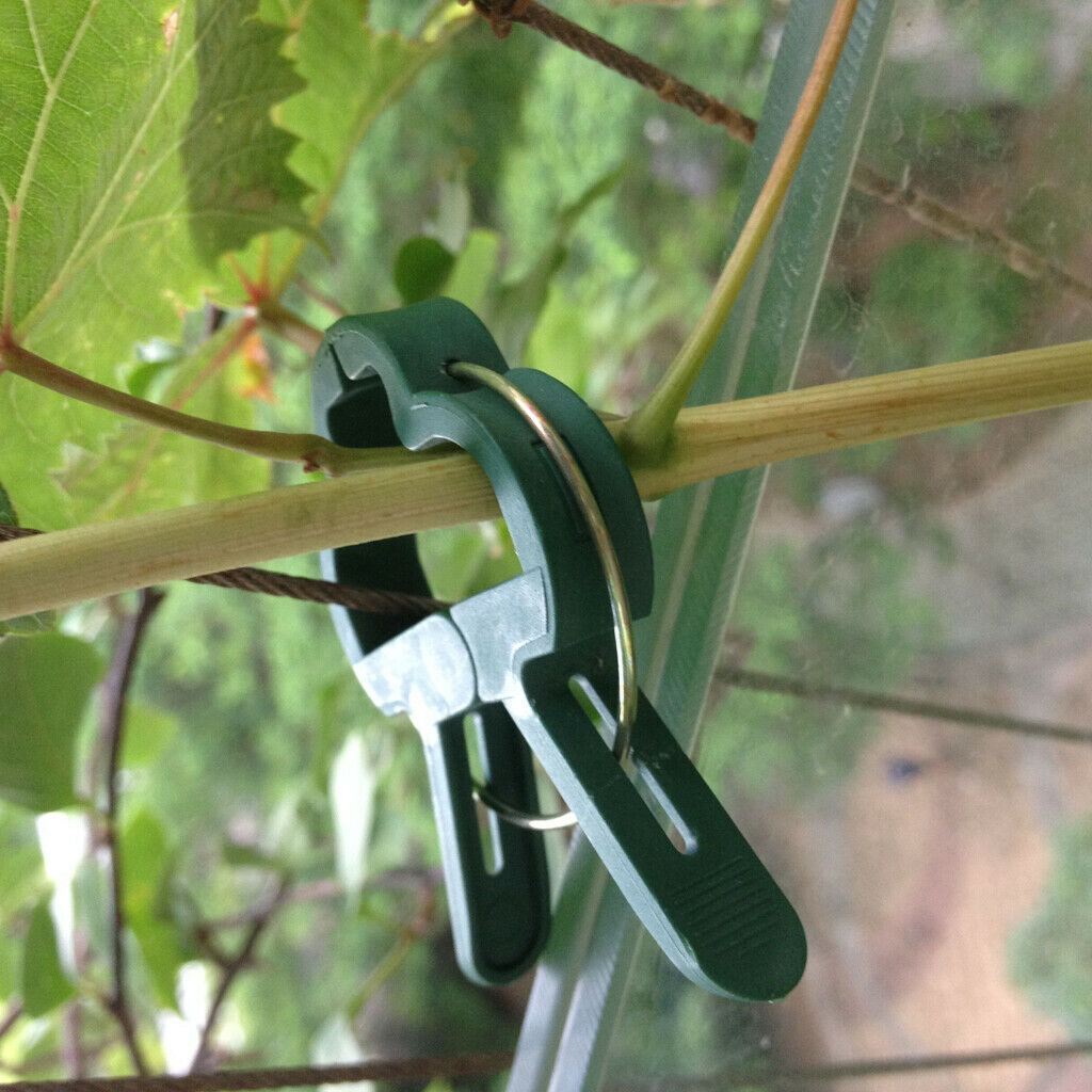 80 Pieces Plant & Flower Clips for Supporting Stems