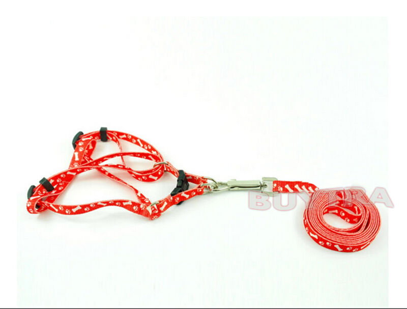 Pet Small Dog Puppy Cat Rabbit Kitten Nylon Harness Collar Leash Lead BD.l8