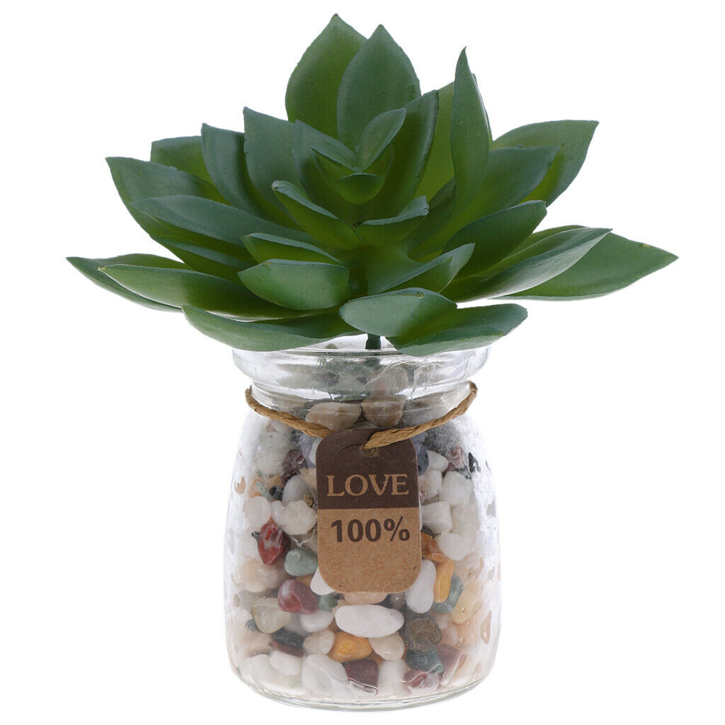 Realistic Plastic Succulents Plants Photography Props Plant Arrangement Decor