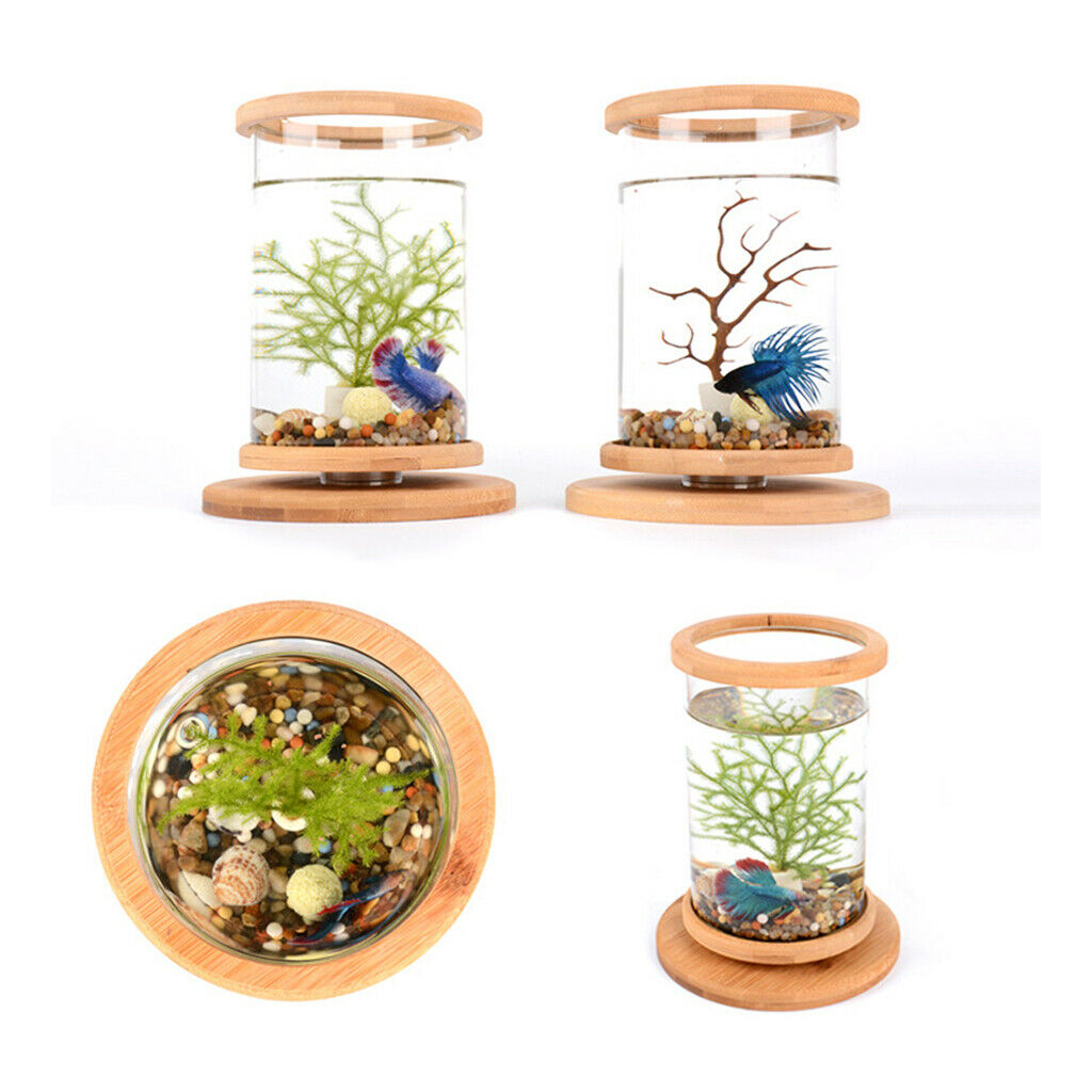 360 Degree Rotatable Cylinder Clear   Tank Small Aquarium Desktop Decoration