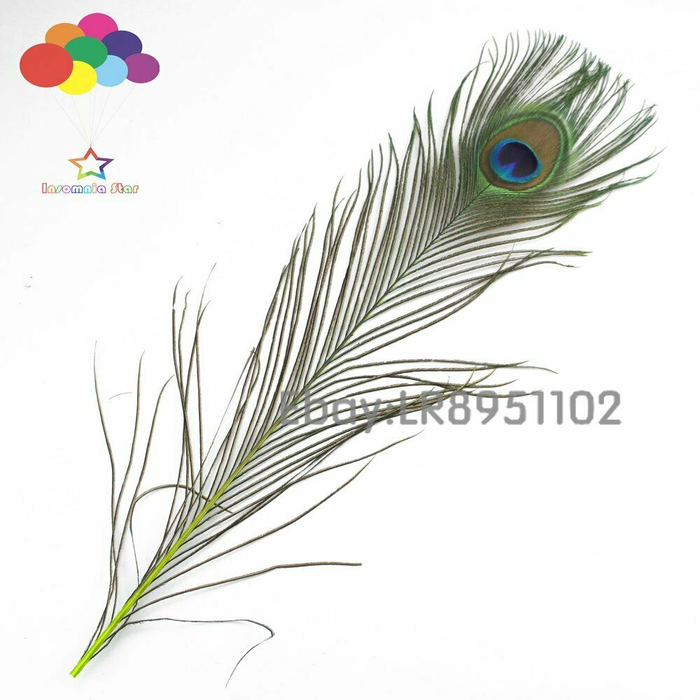 100 PCS Fluorescent peacock feathers dyed 40 to 45 centimeters 16 to 18 inches