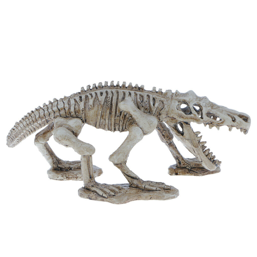 Decorative Ornament for Reptile Terrarium Vivarium Decor#6 Dinosaur Skeleton