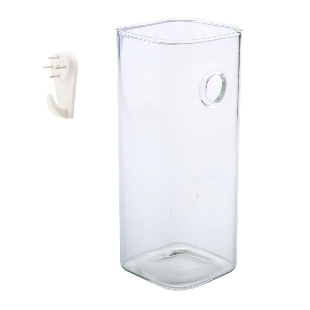 Square Hydroponic Hanging Planter 15cm Nursery Pot Glass Flower Vase Decor