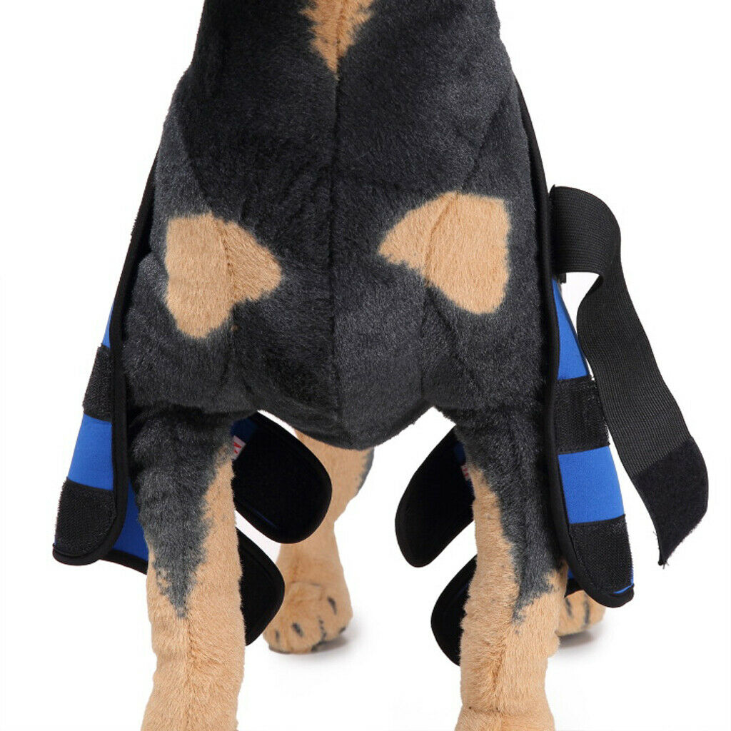 Dog knee joint support front leg compression strut protector blue - w