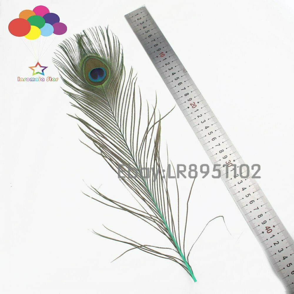 New 100 PCS Mint Peacock Feather 40-45 cm DIY Clothing Decoration Plumage Crafts