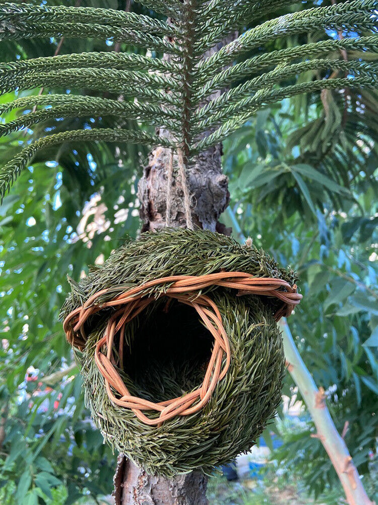 Bird Nest Natural Grass Weaved Eggs Cage Outdoor Decorative Hanging Parrot House