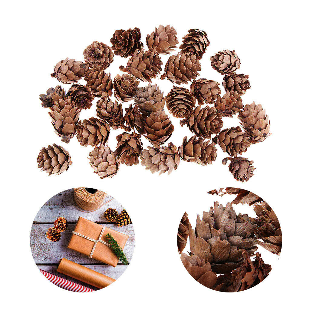 90pcs Mini Natural Small Pine Cone Pinecone Photo Props Wedding Party Ornament