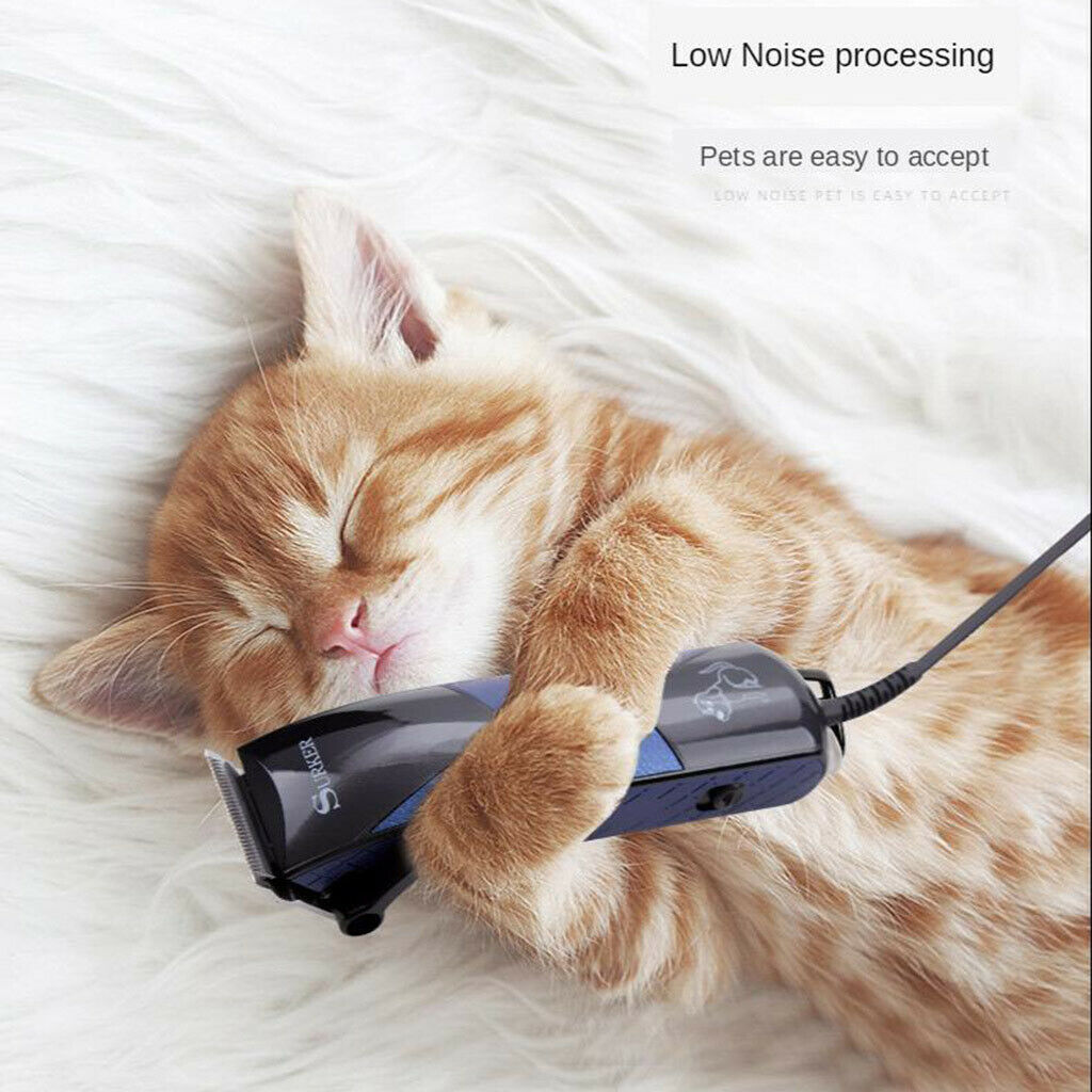 10W Low Noise Dog Shaver Clippers Rechargable Dog Hair Trimmer for Dogs Cats