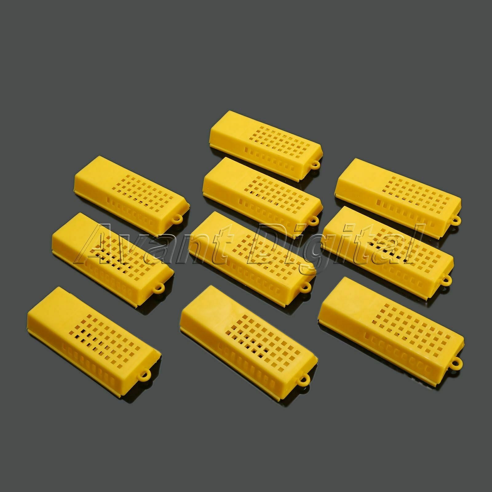 10Pcs Queen Bee Cages For Beekeeping Transport Post Queen Bee Holder Container