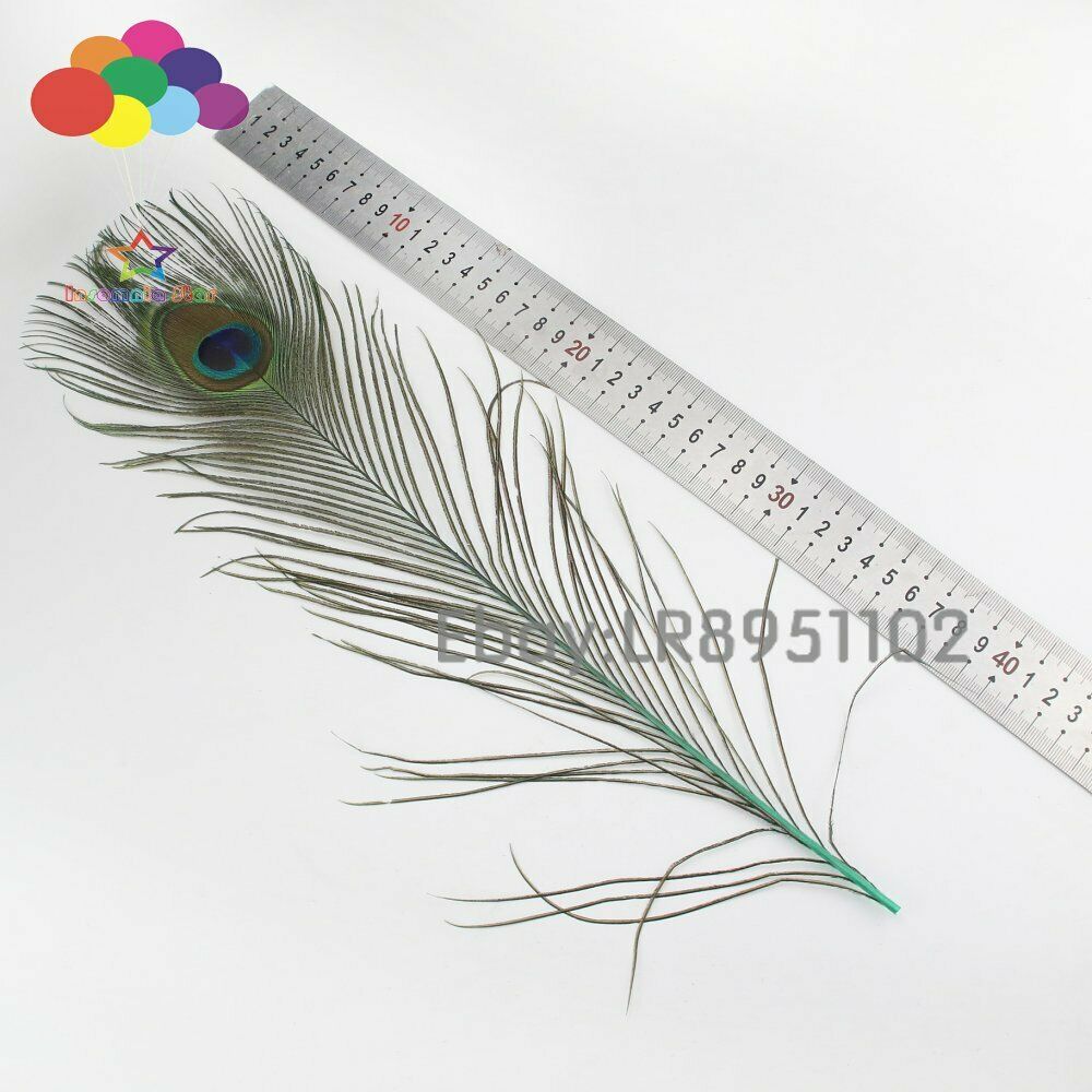 New 100 PCS Mint Peacock Feather 40-45 cm DIY Clothing Decoration Plumage Crafts