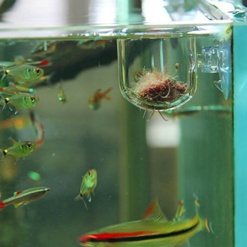 Set of 2 Fish Feeder Aquarium Clear Live Worm Bloodworm Food Feeding Cup
