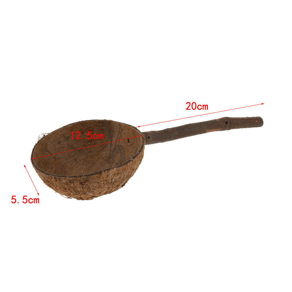 Bird Chew Perch Stand Stick with Coconut Shell Bowl Hamster Rat Feeding