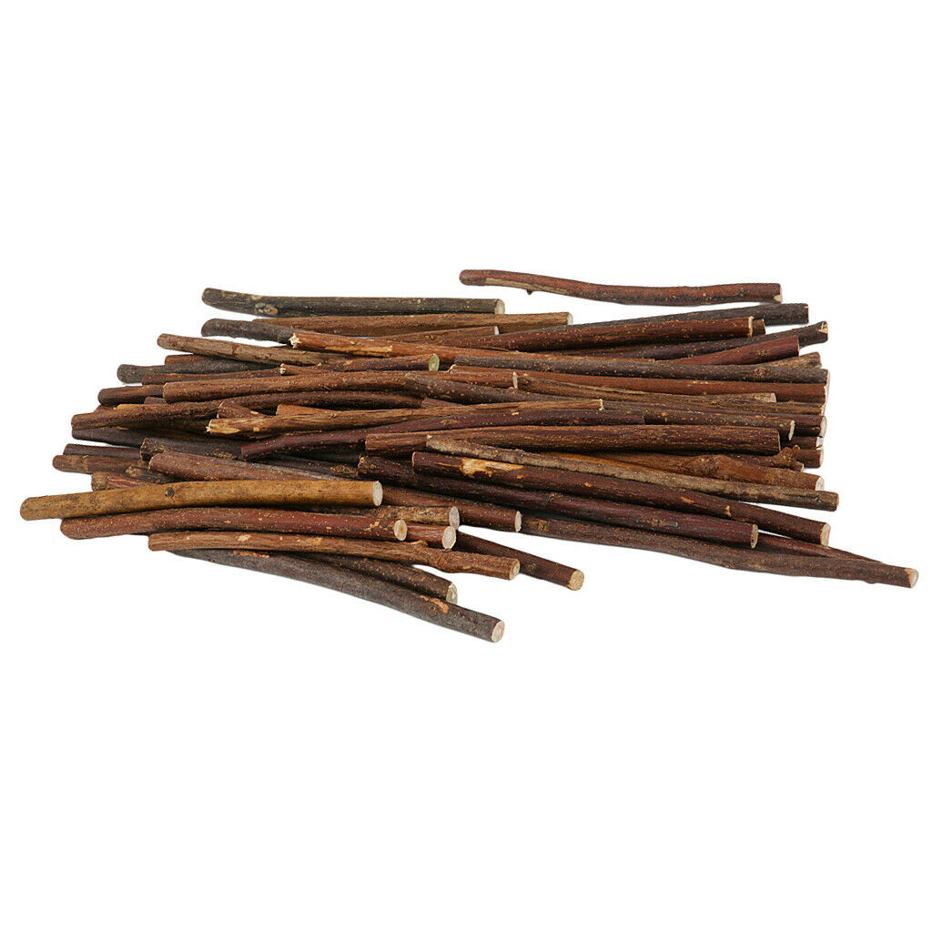 100pcs Natural Boxwood Tree Branch Sticks Branch for DIY Craft Decor