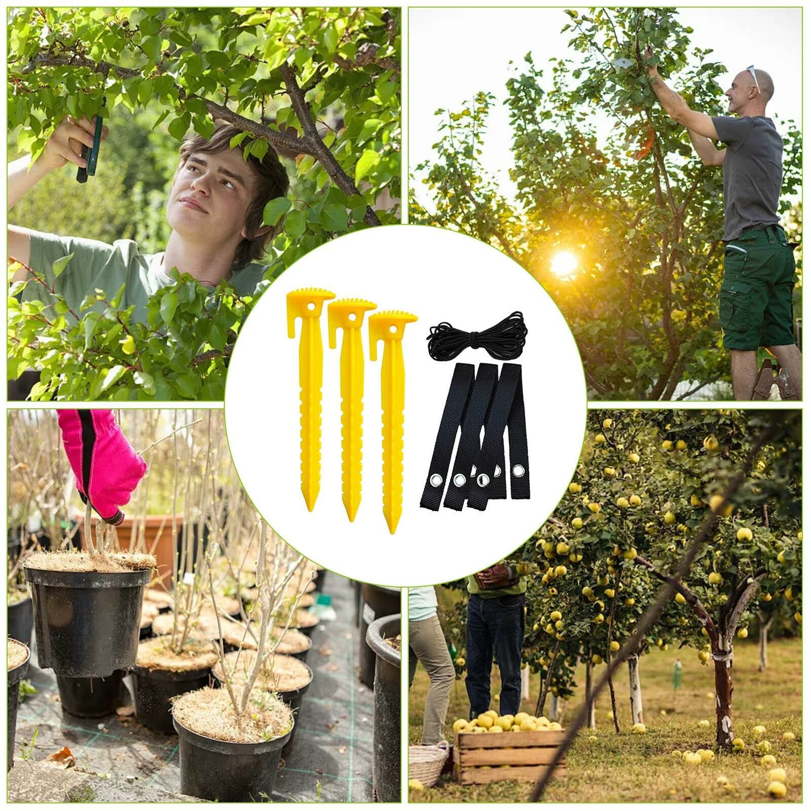 Professional Tree Stakes Kit Anchors Support with Stake Set for Garden Plant