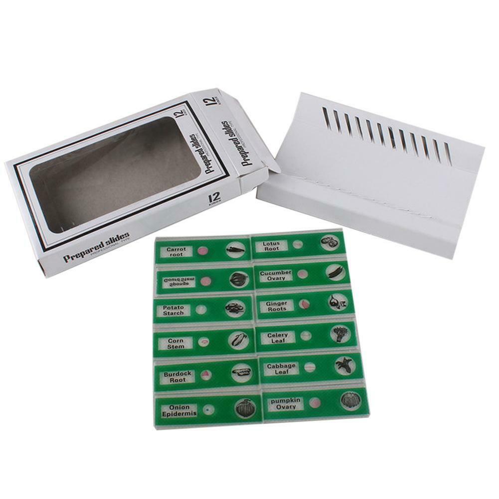 Prepared Plastic Microscope Slides Animals Insects Flowers Plants Student C#P5