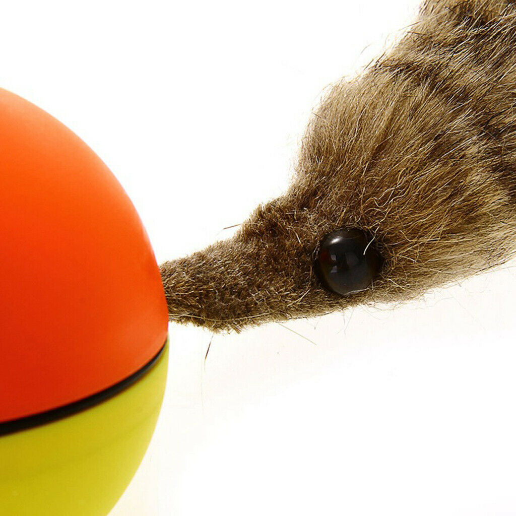 Pet Cat Teaser Toys Funny Pet Rolling Ball Training Toys For Kitty Playing