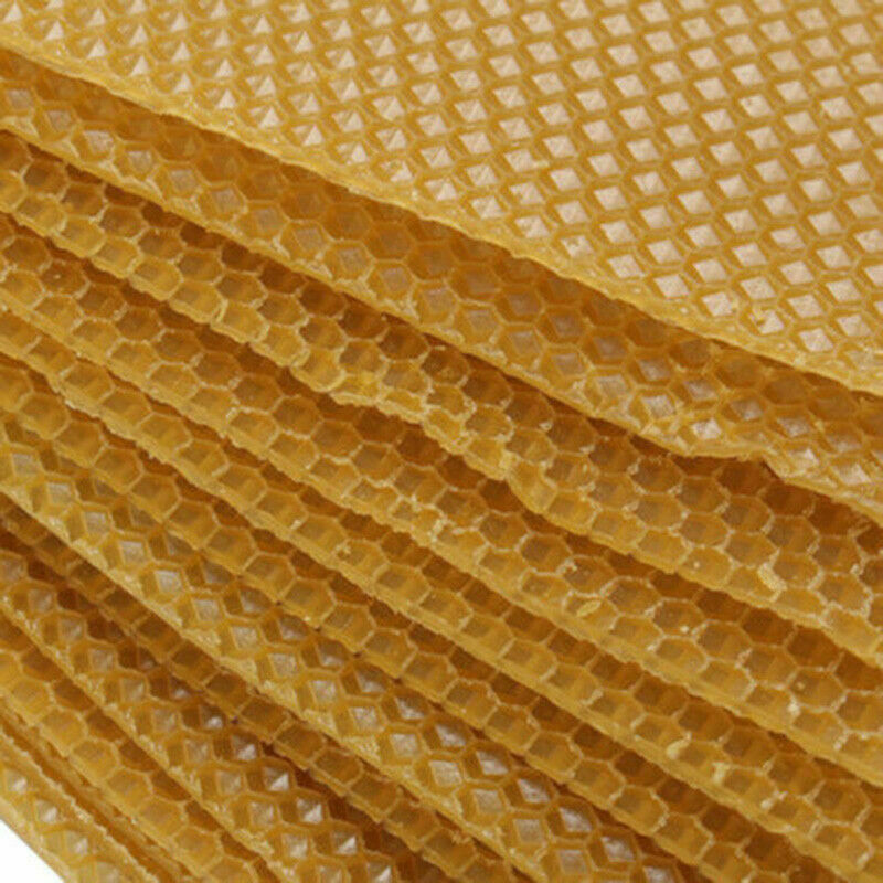 Honeycomb Bee Wax Foundation Honey Hive Equipment Bee Honey Sheets Tool 10Pcs