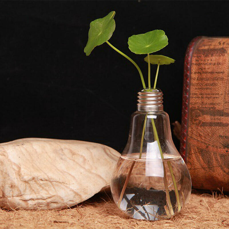 100ml Light Bulb Transparent Glass Vase Fashion Hydroponic Flower Vase Ho.l8