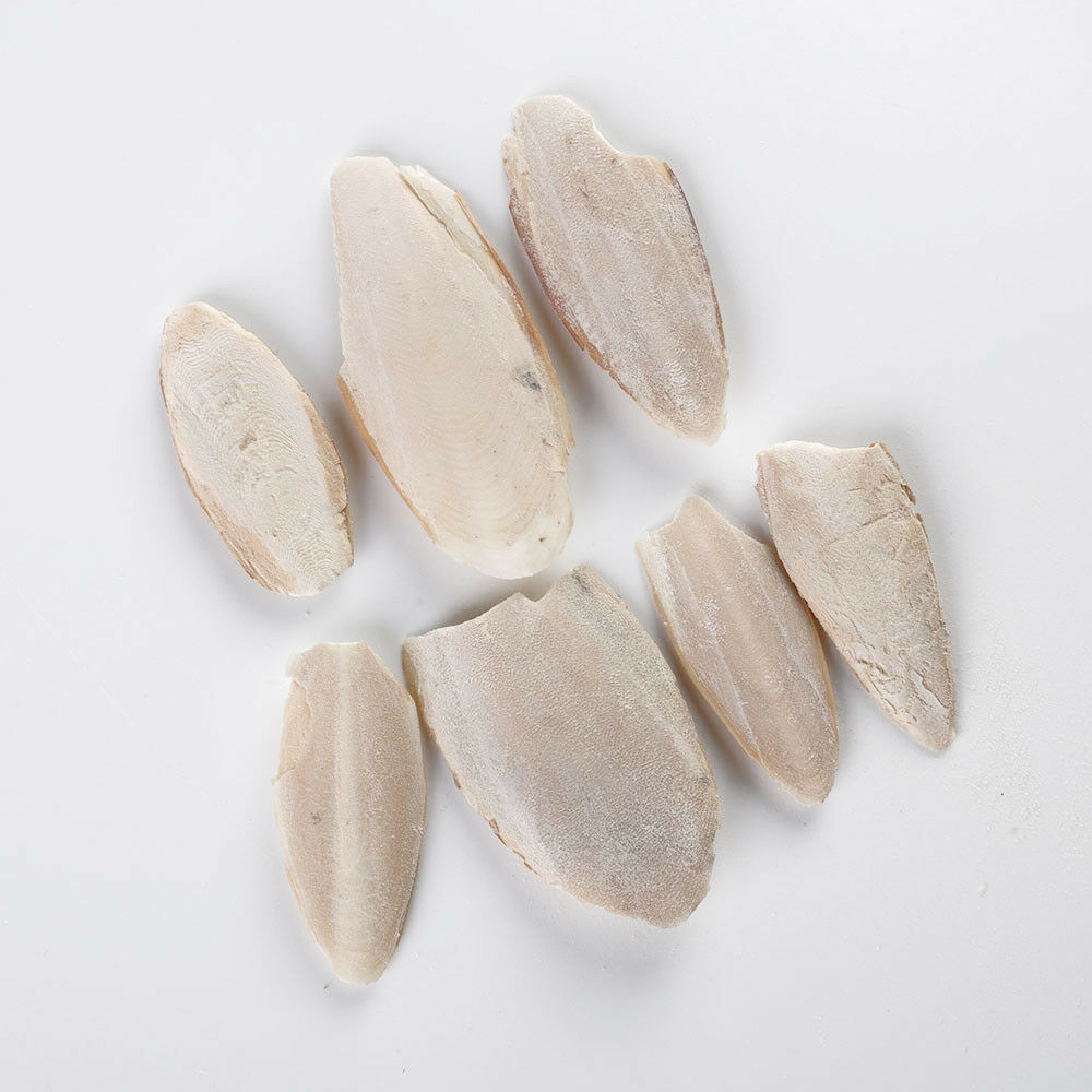 New Cuttle Fish Cuttlefish Bone For Pet Budgie Birds Reptiles Tortoise Food